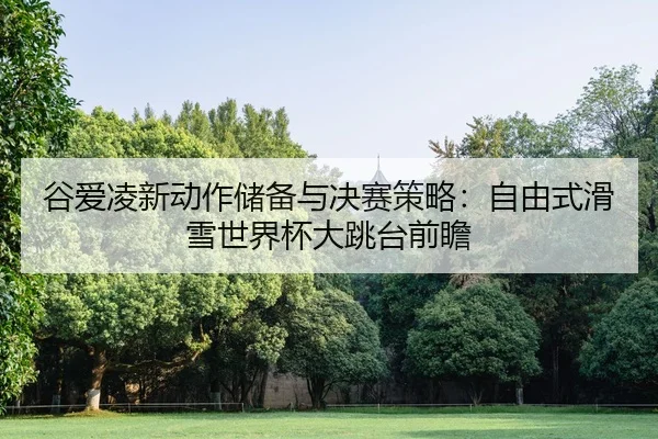 谷爱凌新动作储备与决赛策略：自由式滑雪世界杯大跳台前瞻