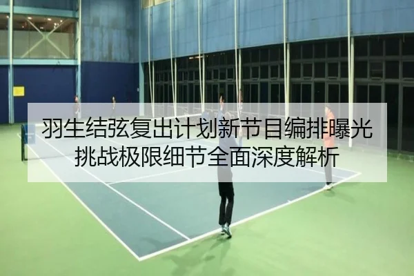 羽生结弦复出计划新节目编排曝光 挑战极限细节全面深度解析